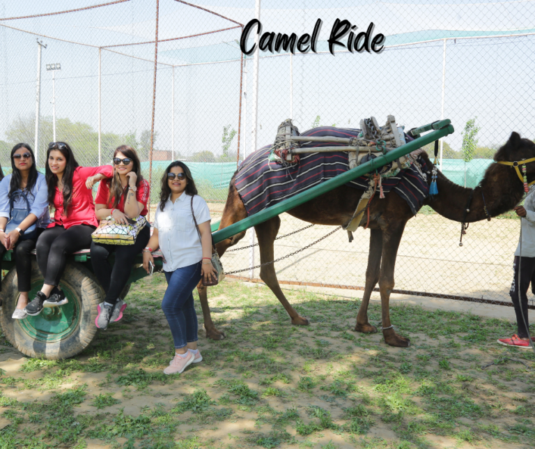 Rides