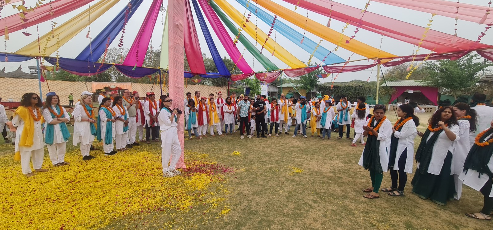 Festival