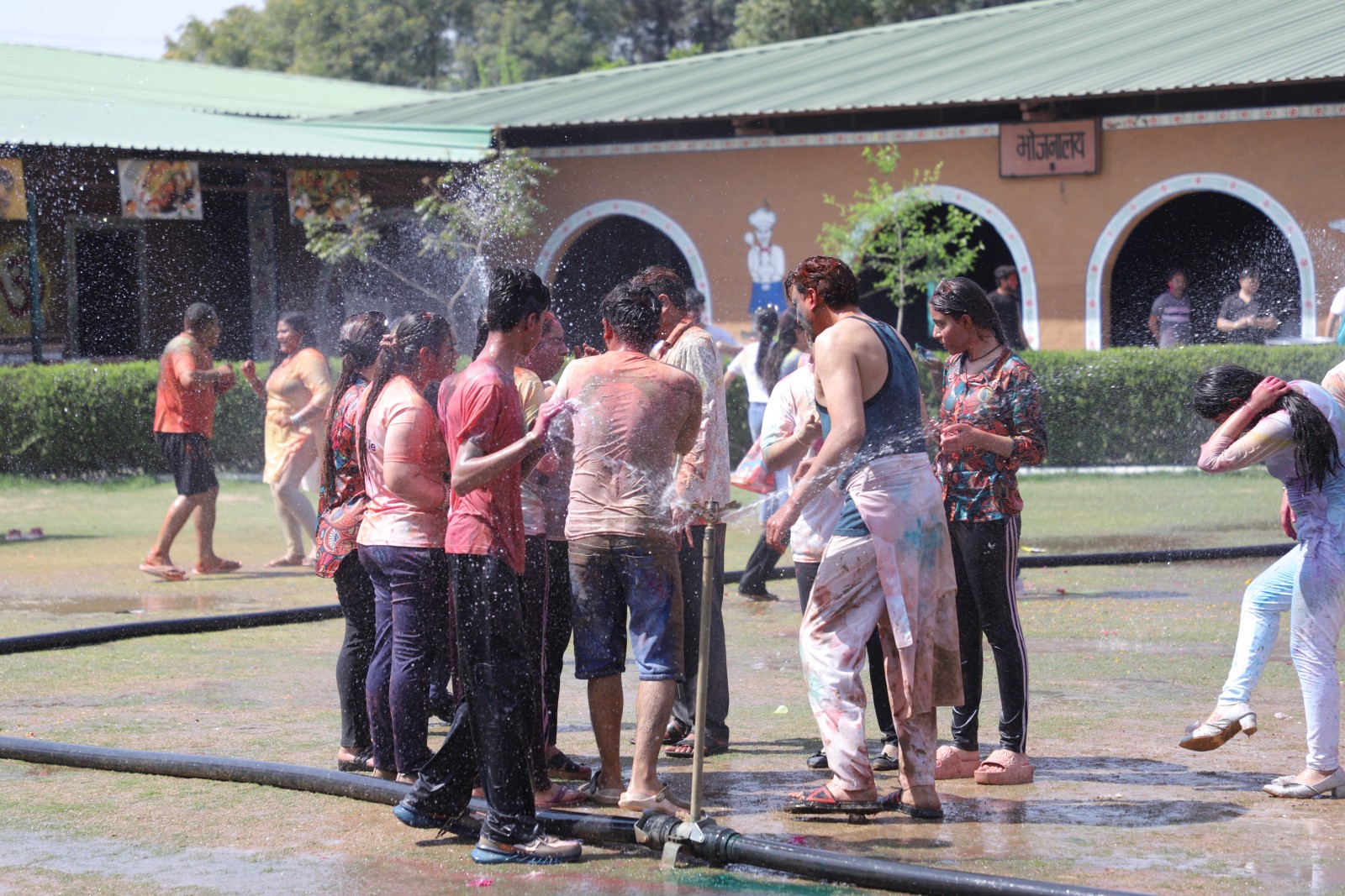 Festival
