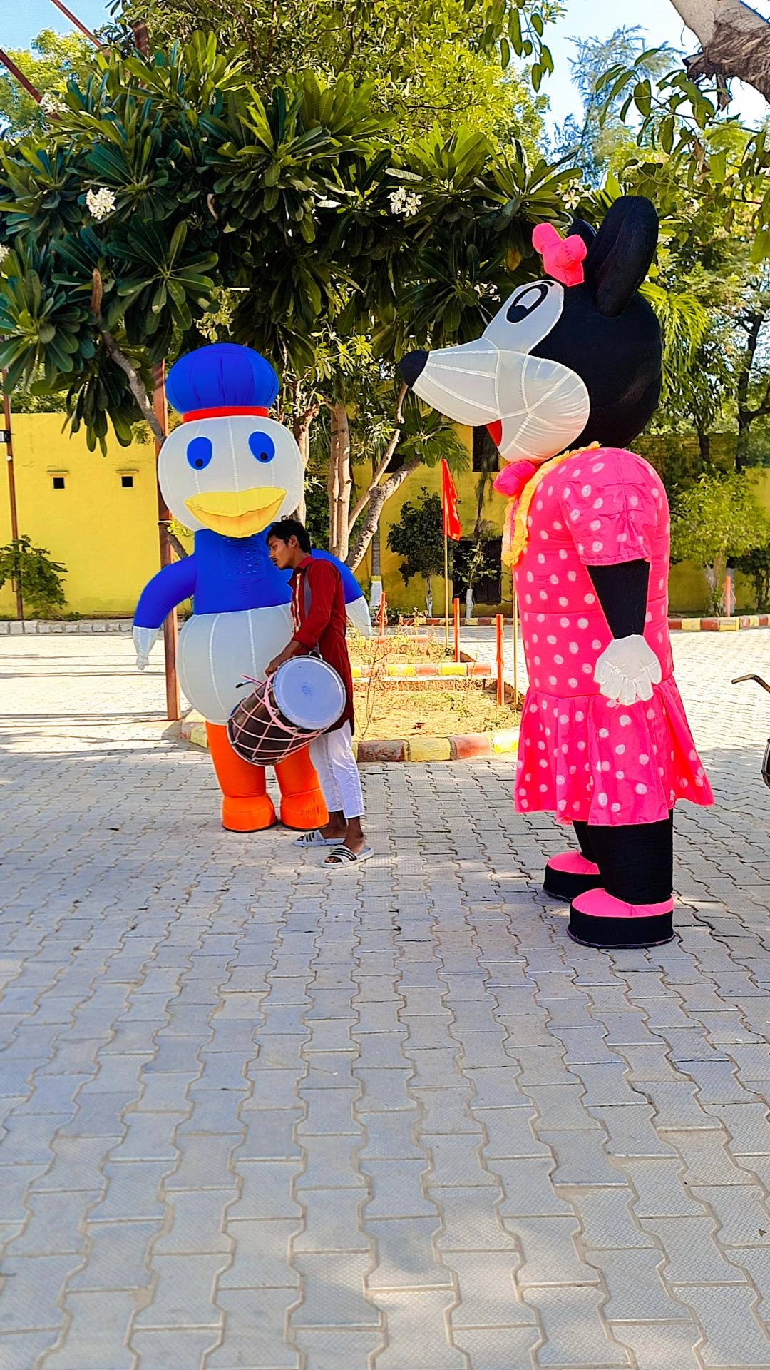 Activity