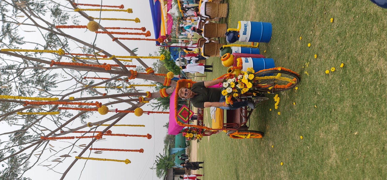Festival