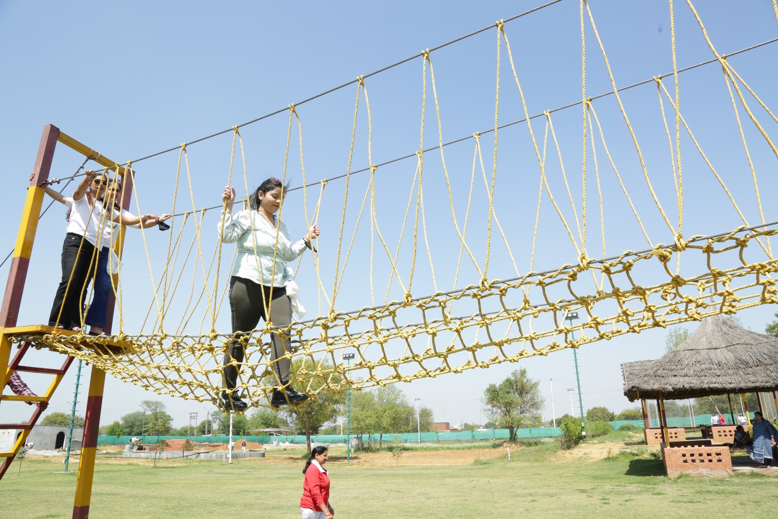 Activity