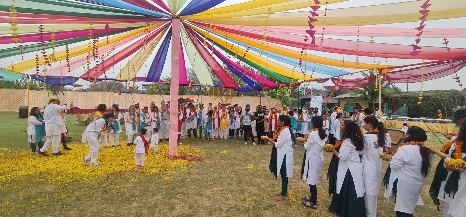 Festival